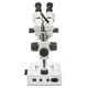 Zoom Stereo Microscope ST-series SZM45-B2 Preview 4